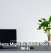 Houseplants Might Be Behind Your Sluggish Wi-Fi