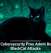 U.S. Cybersecurity Pros Admit Role in BlackCat Attacks